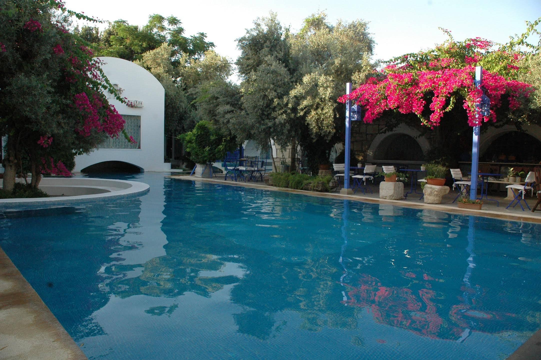 Villa Oliva Butik Hotel Konacik Εξωτερικό φωτογραφία